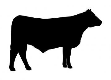 COW CLIPART